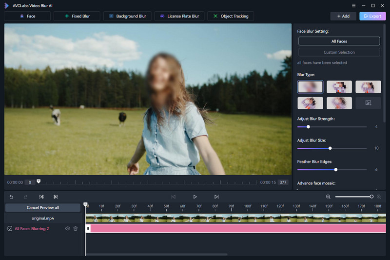 add face blur task