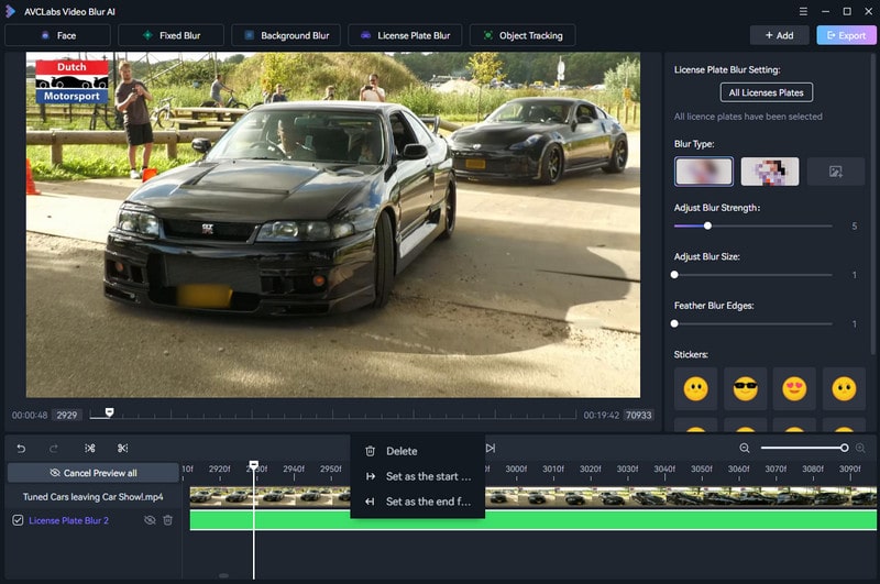 blur license plate in video