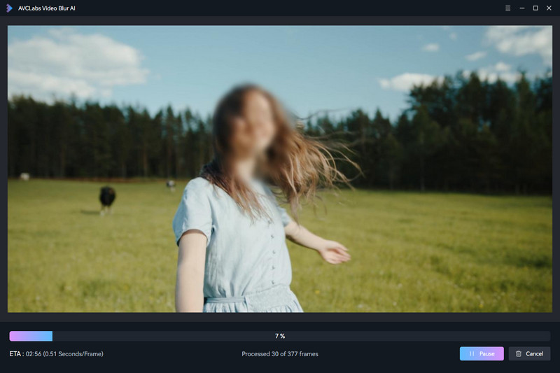 blur faces in video