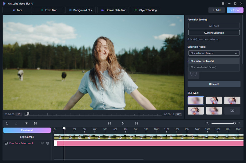 blur faces in video