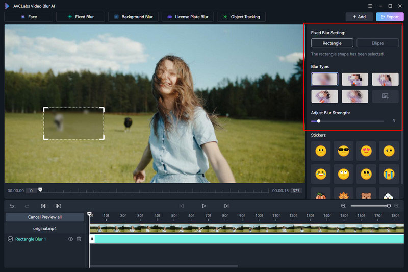 blur object in video